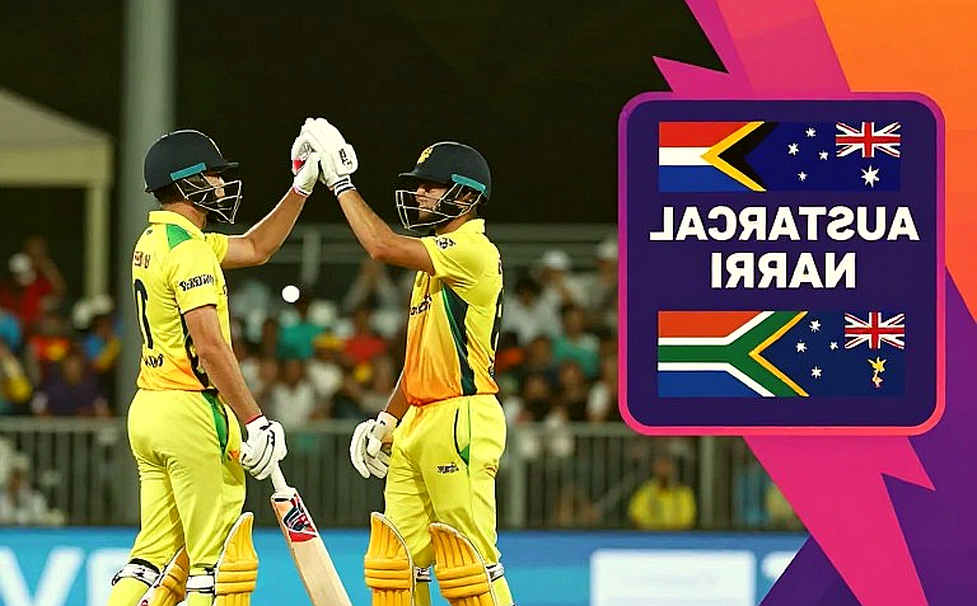 খালি ইনপুট, শূন্য তথ্যবিন্দু: ক্রিকেট বিশ্লেষণের পাইপলাইন কোথায় নীরবে ভেঙে পড়ে